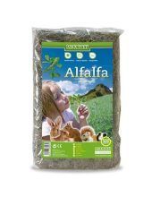 alfalfa-500-grs
